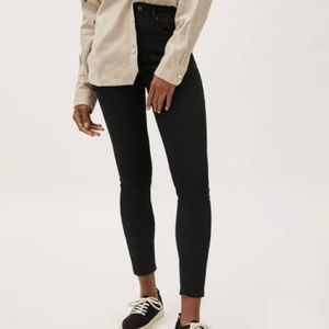 Everlane Authentic Stretch Mid-Rise Skinny Jean